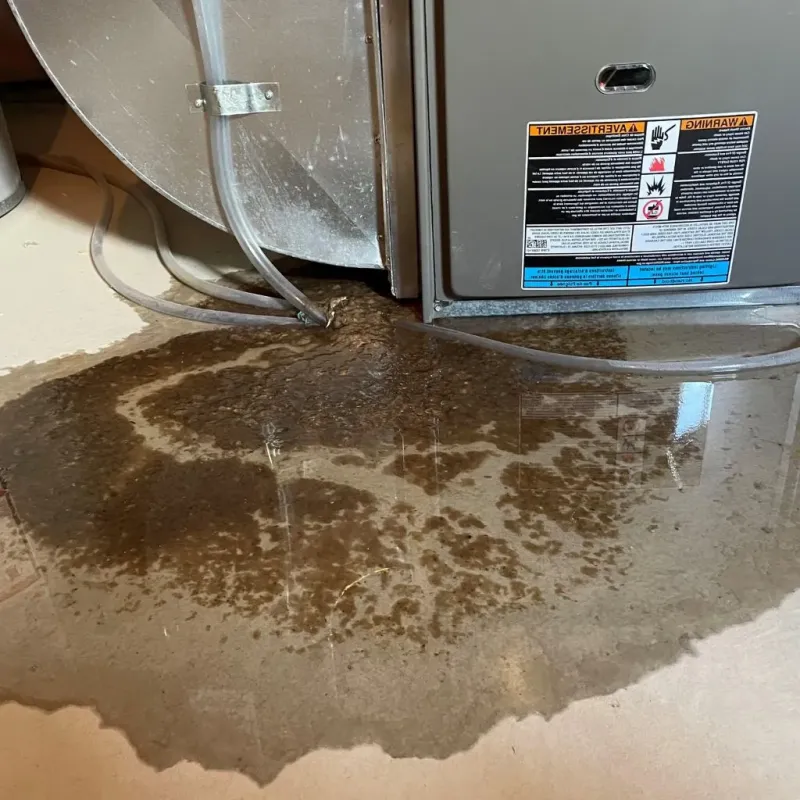 Pipe Burst and Leak Restoration in Iredell County, NC